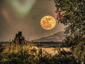 Joyce 003 Full Strawberry Moon 06032023 (7) Filtered, Denoised.jpg